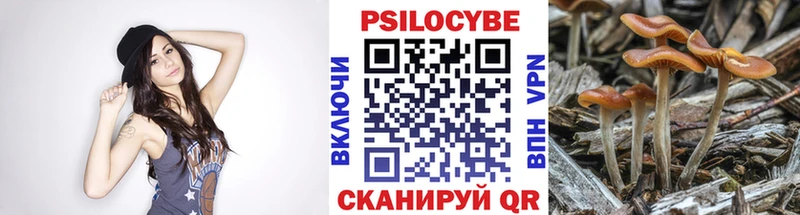 Галлюциногенные грибы мухоморы Губкинский